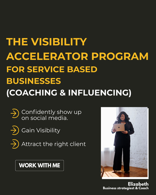 The Visibility Accelerator Program for Service Based Businesses (coaching + influencing )
